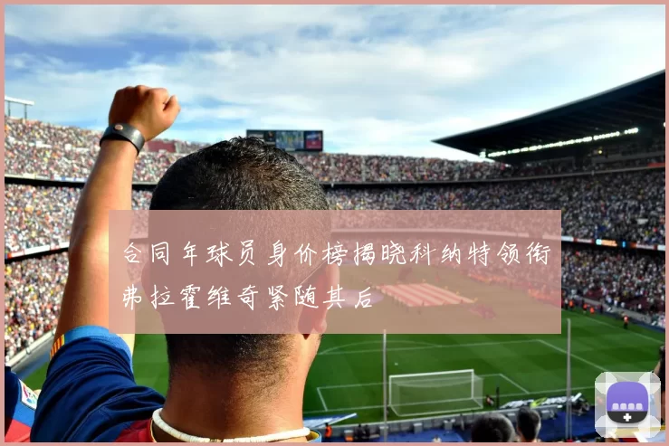 合同年球员身价榜揭晓科纳特领衔弗拉霍维奇紧随其后